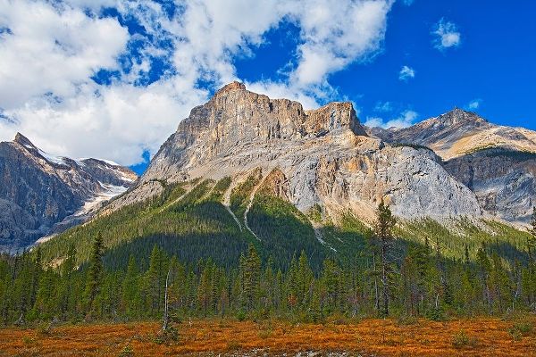 Canada-Alberta-Yoho National Park The President Range mountain landscape